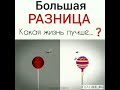 Какая жизнь лучше?