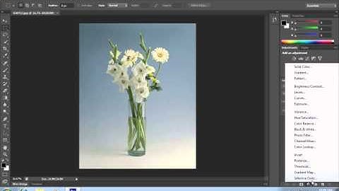 How to Use Selective Color in Photoshop CS6