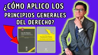 ¿CÓMO USAR LOS PRINCIPIOS GENERALES DEL DERECHO?