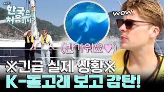 촬영 중 K-돌고래 등장?! 운명처럼 마주친 레전드 순간♥ l #어서와한국은처음이지 l #MBCevery1 l EP.404