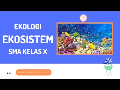 EKOSISTEM (EKOLOGI)/ SMA KELAS X/ECOSYSTEM