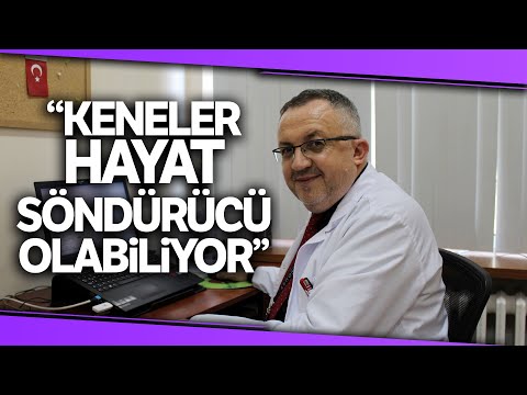 Ölümcül Kene, Doğru Yöntemle Bir An Önce Çıkartılmalı