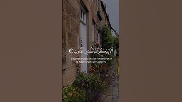 القارئ : سالم الرويلي #quran