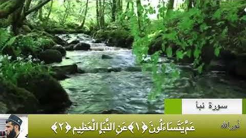 سورة نبأ بصوت القارئ رزكار الكردي