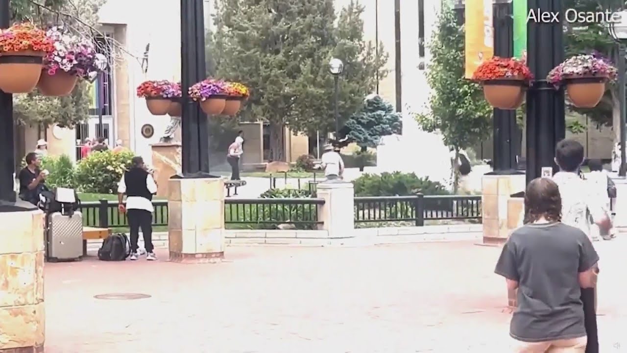 New video offers perspective on Pearl Street attack