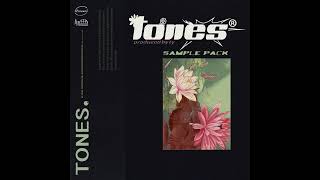 TY - TONES (RNB Sample Pack)