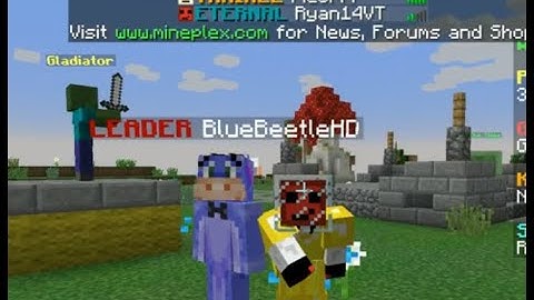 Mienplex Staff Interview [Leader BlueBeetleHD]