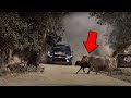 7 Rally Moments You Shouldn't Watch Alone (Part 2)