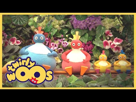 Twirlywoos Türkçe | Islanmak | Sezon 1 Bölüm 21 | Çocuklar İçin Çizgi Filmler