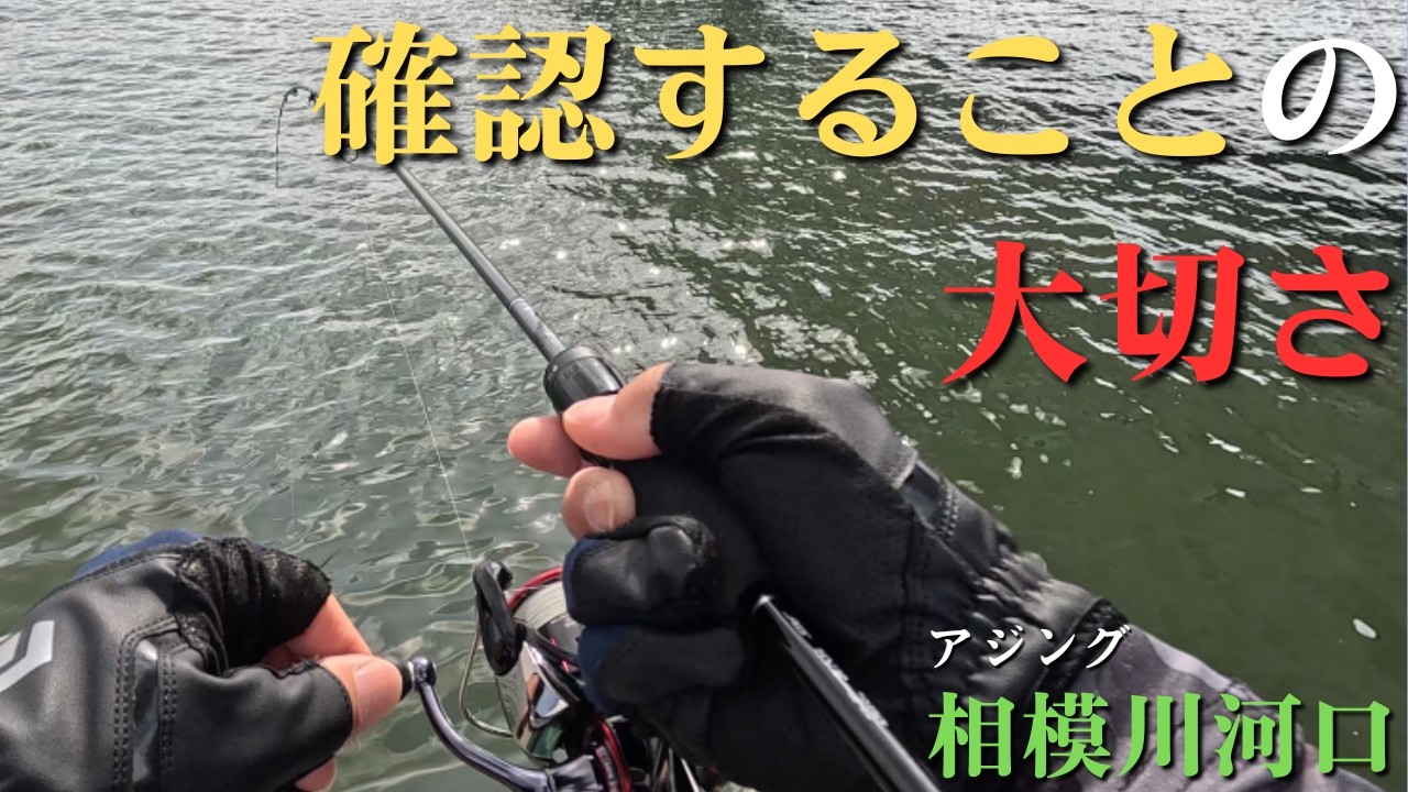 相模川河口】釣りは確認することが大切だと、改めてわかりました【2026