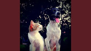 Understated Cats