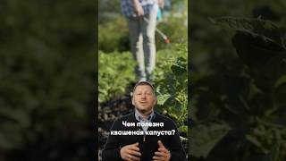 ЧЕМ ПОЛЕЗНА КВАШЕНАЯ КАПУСТА? #здоровье #рецепты #бадыдляздоровья #романбоев #бад #здоровыйдух