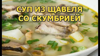 Суп из скумбрии и щавеля Суп из скумбрии и щавеля