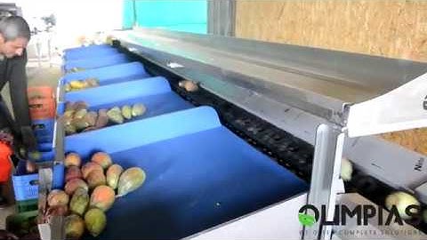 OLIMPIAS S.A. | Automatic prickly pear sorting machine,electronic fruit weight grader.