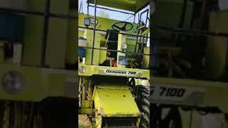 Dashmesh Machine Sela