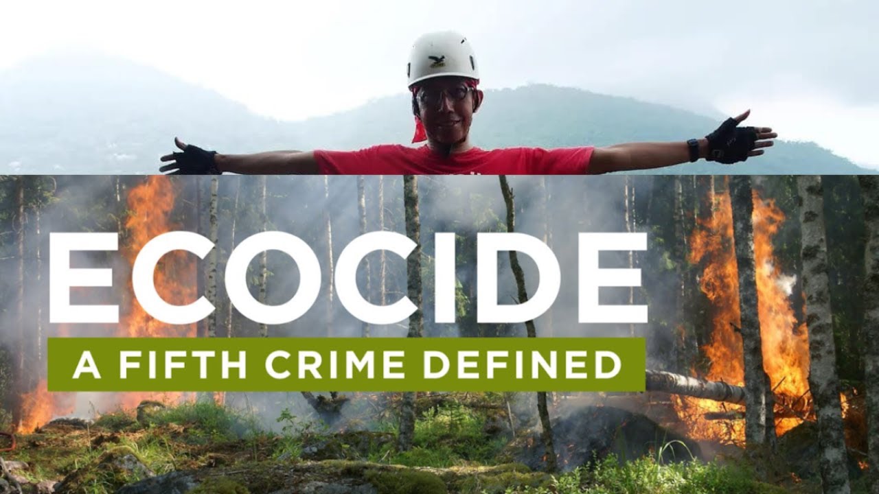 Ekosida Adalah Kejahatan Berat - Mengulas Pemikiran Harry Wibowo (1961-2025)