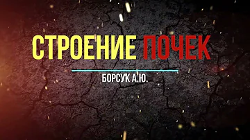 Строение почек растений.