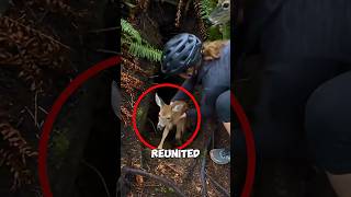 This Deer Asked a Girl for Help 🦌😱 #deer #shorts
