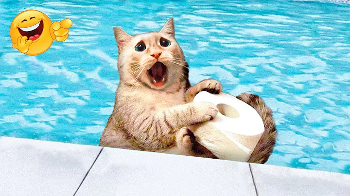 Cats really HATE WATER 😾😾  Funny Cat & Dog Videos Compilation 2022