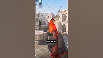 Holy Sht! Check Out My Knives The Gut Knife Sapphire & Ruby in counter strike