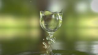 Water Drop Logo Reveal