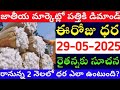 మార్కెట్లో పత్తి ధరలు  29-05-2025 Today cotton rate | cotton rate today || #pattidhralu Increase
