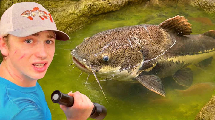 I Saved Abandoned Fish LIVING in Green Slime Pond!