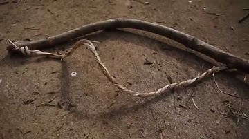 Backyard Survival: How To Make Root Cordage for a Bow Drill