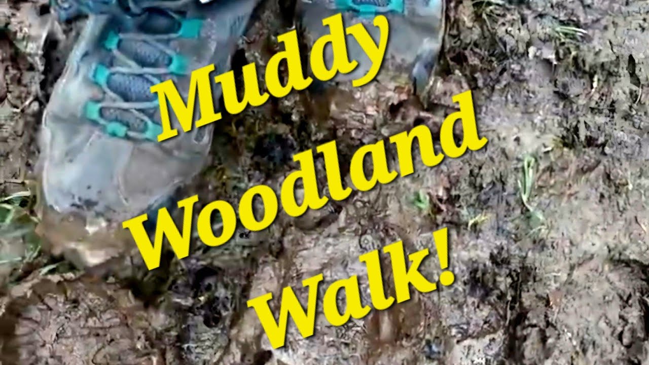 A Muddy Walk At NWT Foxley Wood - Amazed We Stayed Upright!