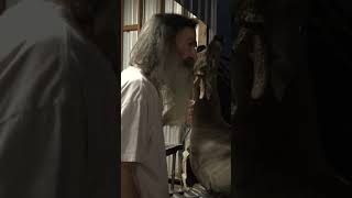 Famous Is this BUCK Phil Robertson APPROVED?!? Wealth