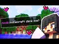 Dating A Minecraft Noob