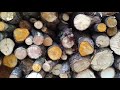 Fire Wood Handling Tips