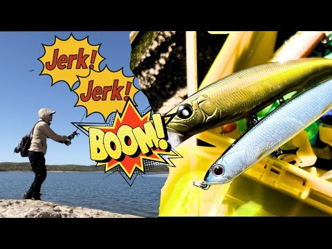 1989 BASS FISHING NEW BASICS by ソラバシ 1989 BASS FISHING NEW BASICS by ソラバシ 1989 BASS FISHING