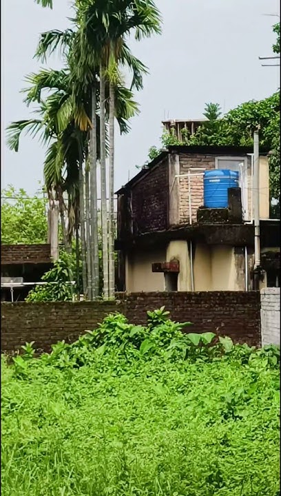 4 Katha Land For Sale Near N B U realestate housepropertysale low 4-katha-land-for-sale-near-n-b-u-realestate-housepropertysale-low