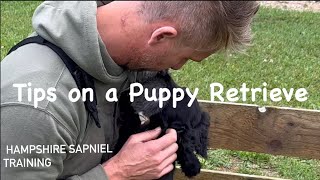 Ways to improve your puppy retrieve.