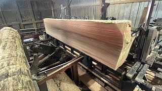 Saw-Milling a Massive 36 Inch Diameter Red Oak Butt Log! Plus Other Beautiful Logs! #218