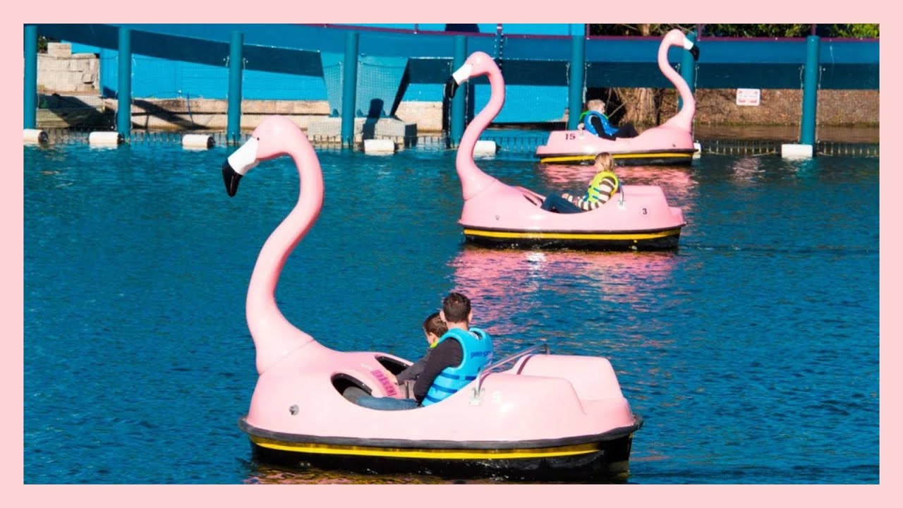 SeaWorld Paddle Boat Orlando Florida YouTube