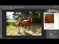 How to Motion Blur in Photoshop
