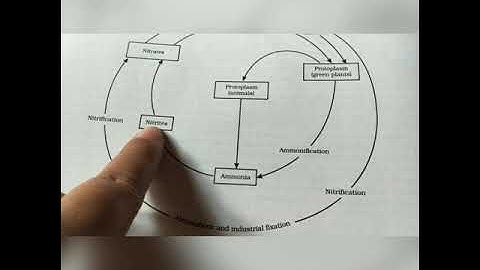 Class-ix chapter-14 natural resources