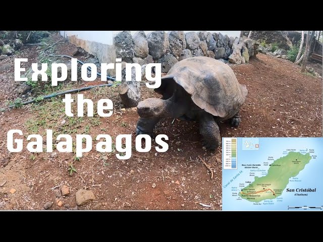 Ep. 83 – Galapagos Tortoises and Van Tour of San Cristobal