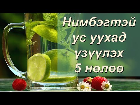 НИМБЭГТЭЙ УС(лемонтой ус)ны гайхамшиг!!