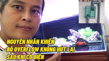 Nguyên nhân khiến bộ Overflow không tự hút nước trở lại sau khi mất điện hoặc rút bơm