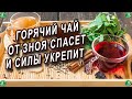 Советы как не заболеть летом?! ⚕️ Лечение фарингита,отита,тонзилита и ларингита ⚕️ Знахарь-Кирилл 🧙