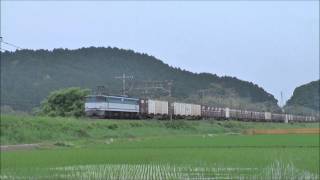 5087ﾚ　EF65-1117+コキ