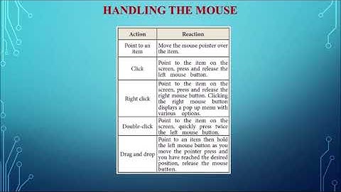 Class 11 Computer Science Chapter 5 Working with Windows Part 1