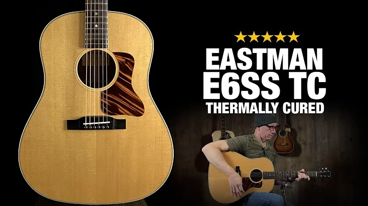 Eastman E6SS - Thermally Cured