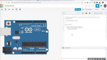 echo input from serial monitor of Arduino
