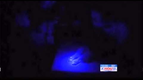 Scientists create glow-in-the-dark dog.FLV