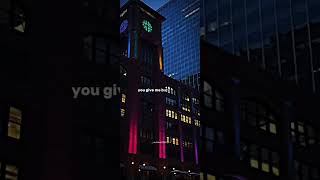 Butterflies S Editisabel Larosaseditsong