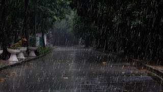 The sound of rain that helps you forget about insomnia, stress to you can fall asleep immediately.